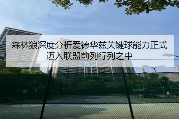 森林狼深度分析爱德华兹关键球能力正式迈入联盟前列行列之中